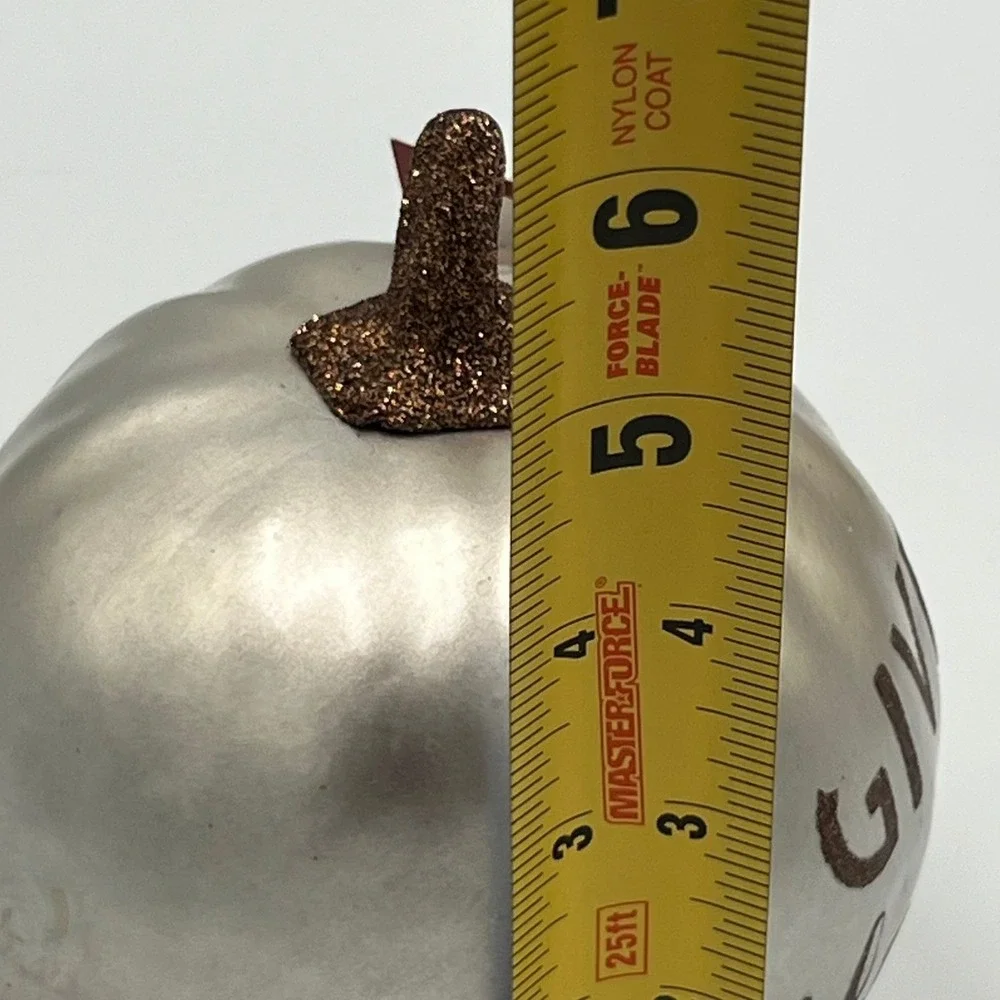 Target Pumpkin Decor Unisex OS Silver Brand New Give Thanks Glitter Metallic